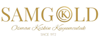 logo not found